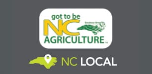 North Carolina Local state icon