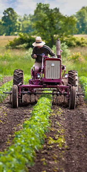 farmer on a tractor